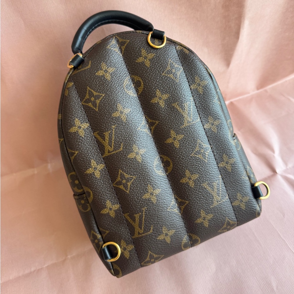 Louis Vuitton Palm Springs Mini - Picture 4 of 13